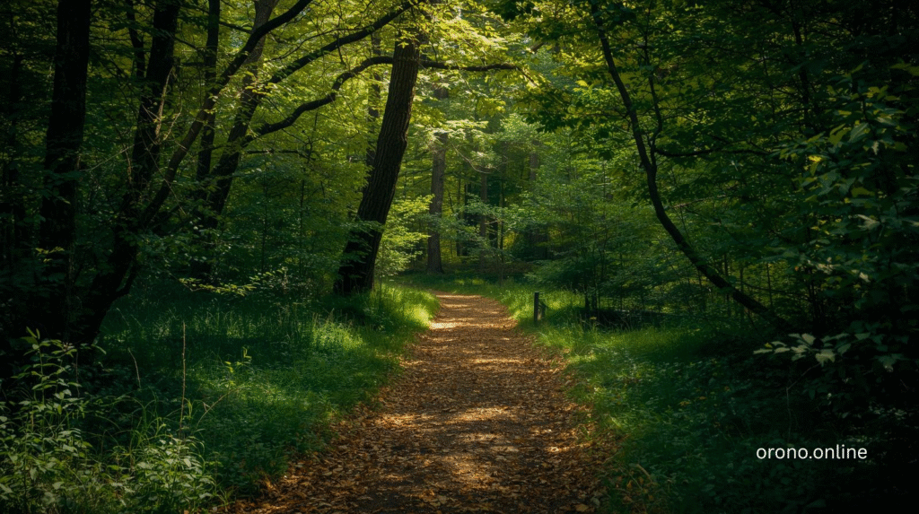 Highwood Nature Trail: 7 Secrets to Perfect Hiking 2025