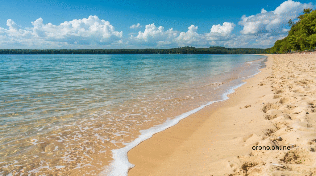 Lydiard Beach: 8 Perfect Reasons to Visit Today 2025