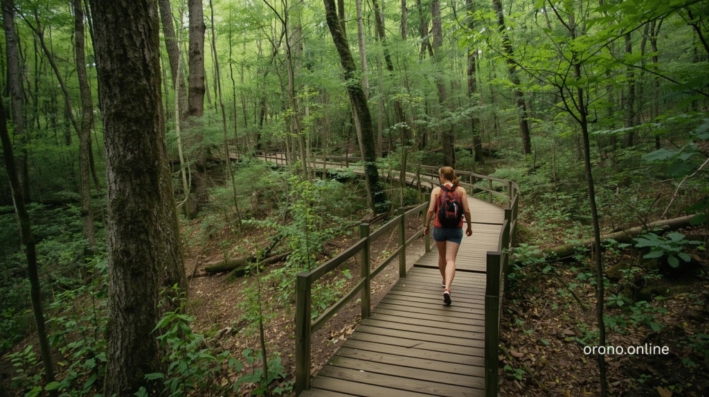 : orono nature park trails