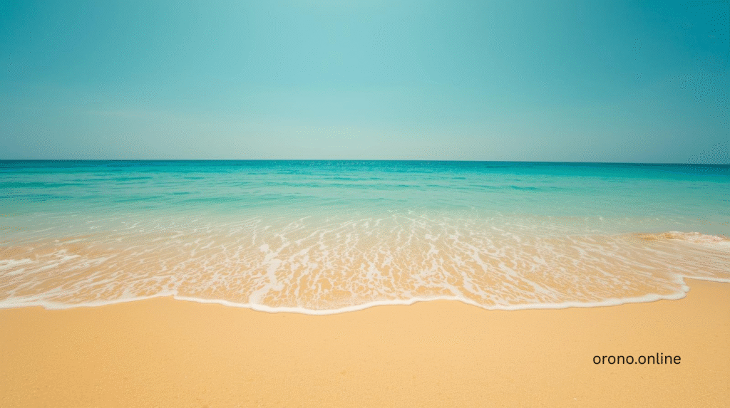 Sandy Beach: 10 Amazing Reasons Why Families Love It 2026