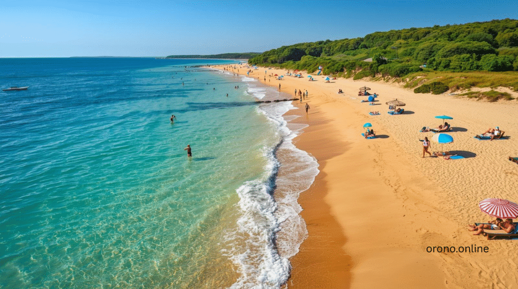 Centerview Beach: 10 Amazing Tips for a Perfect Summer Day