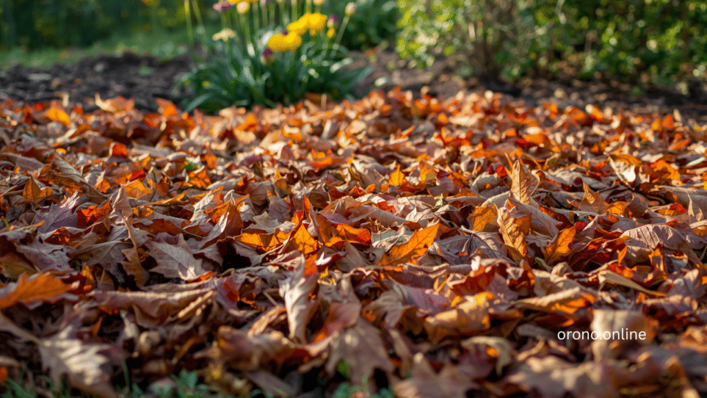 Colorful autumn leaves used as natural garden bed mulch in Orono Minnesota residential garden