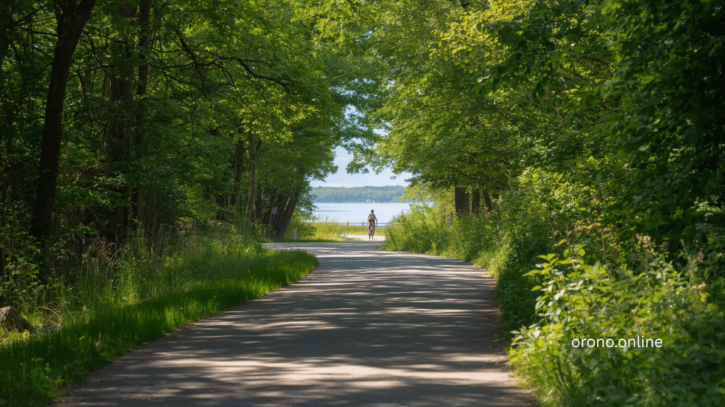 Orono Minnesota trail winding through mature trees with Lake Minnetonka visible through foliage on summer morning